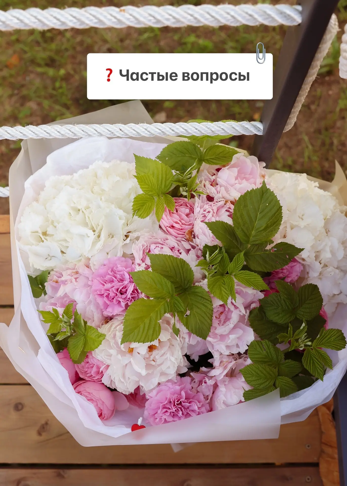 Отвечаем на частые вопросы ❤
