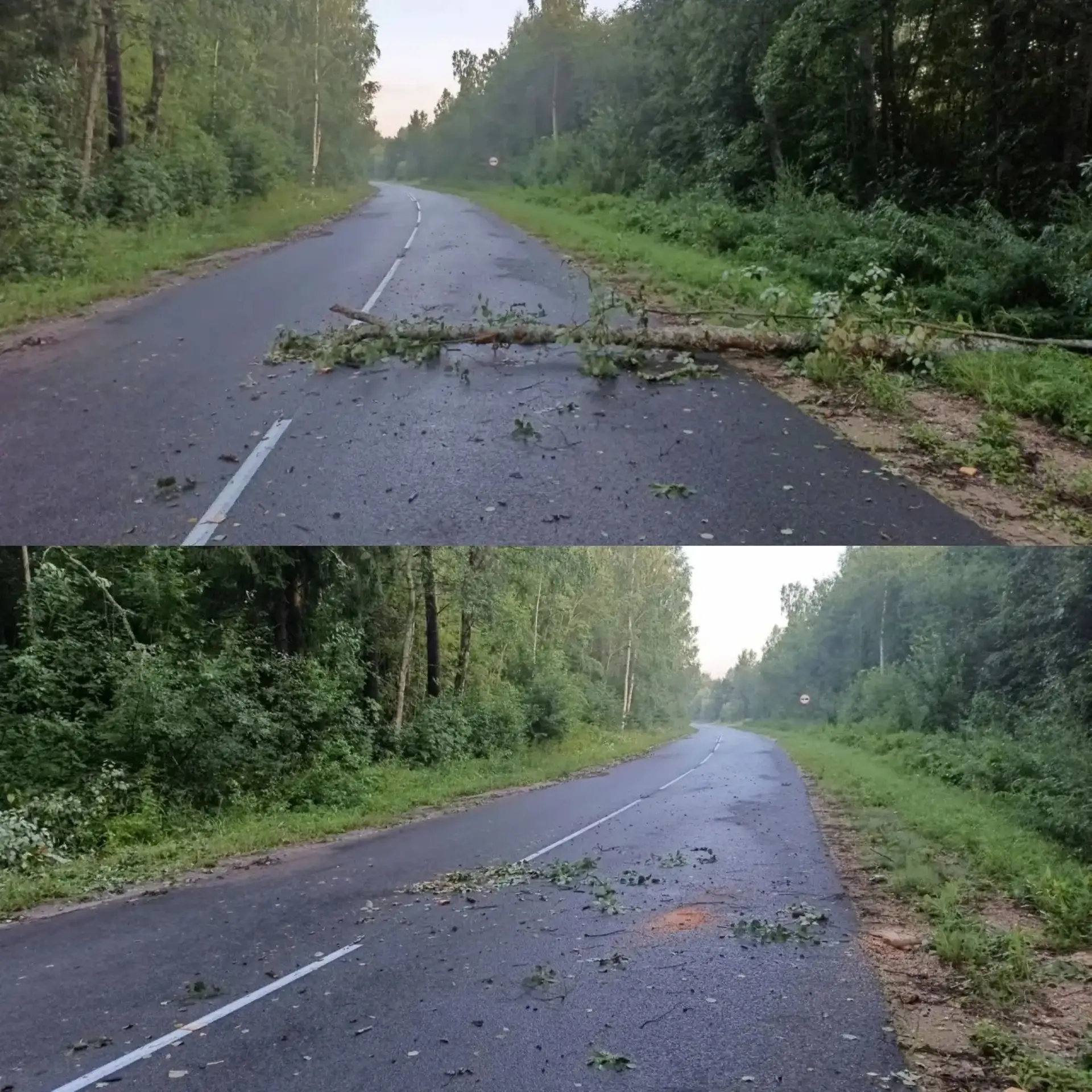 ⚠️ На региональных дорогах Новгородской области ведутся работы по ликвидации последствий падения дер