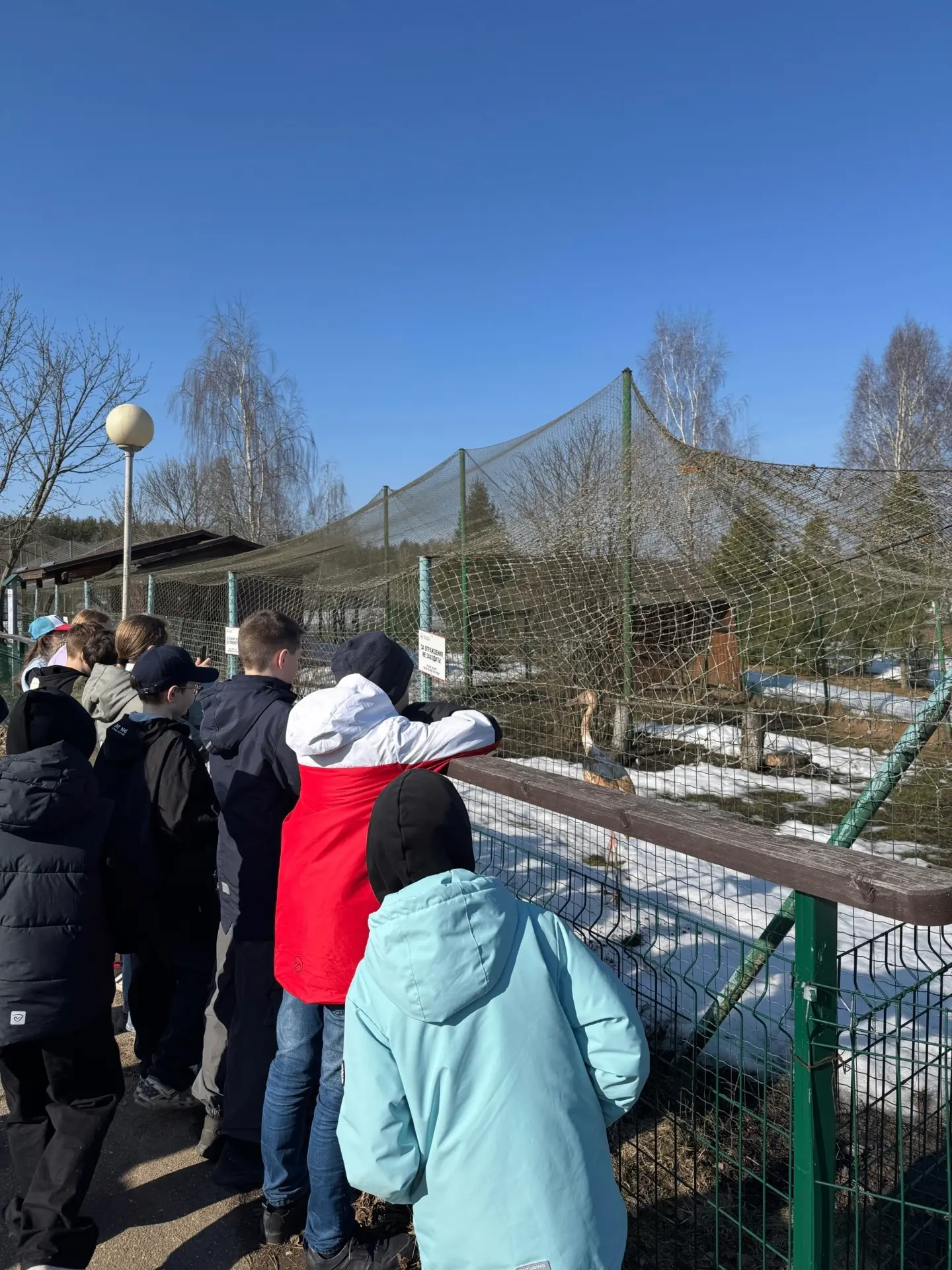 🦁Живая природа рядом: 5 Г в Ярославском зоопарке  Продолжая путешествие, 5 Г класс отправился в Ярос