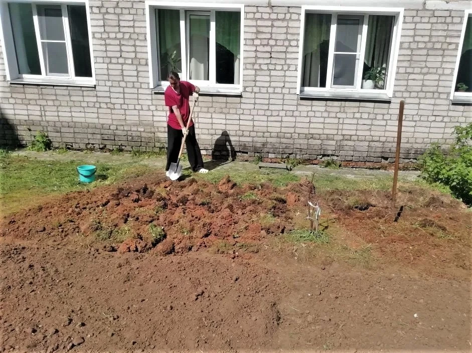 «Мы посадили огород!»: первые грядки, первые семена – агротерапия в действии