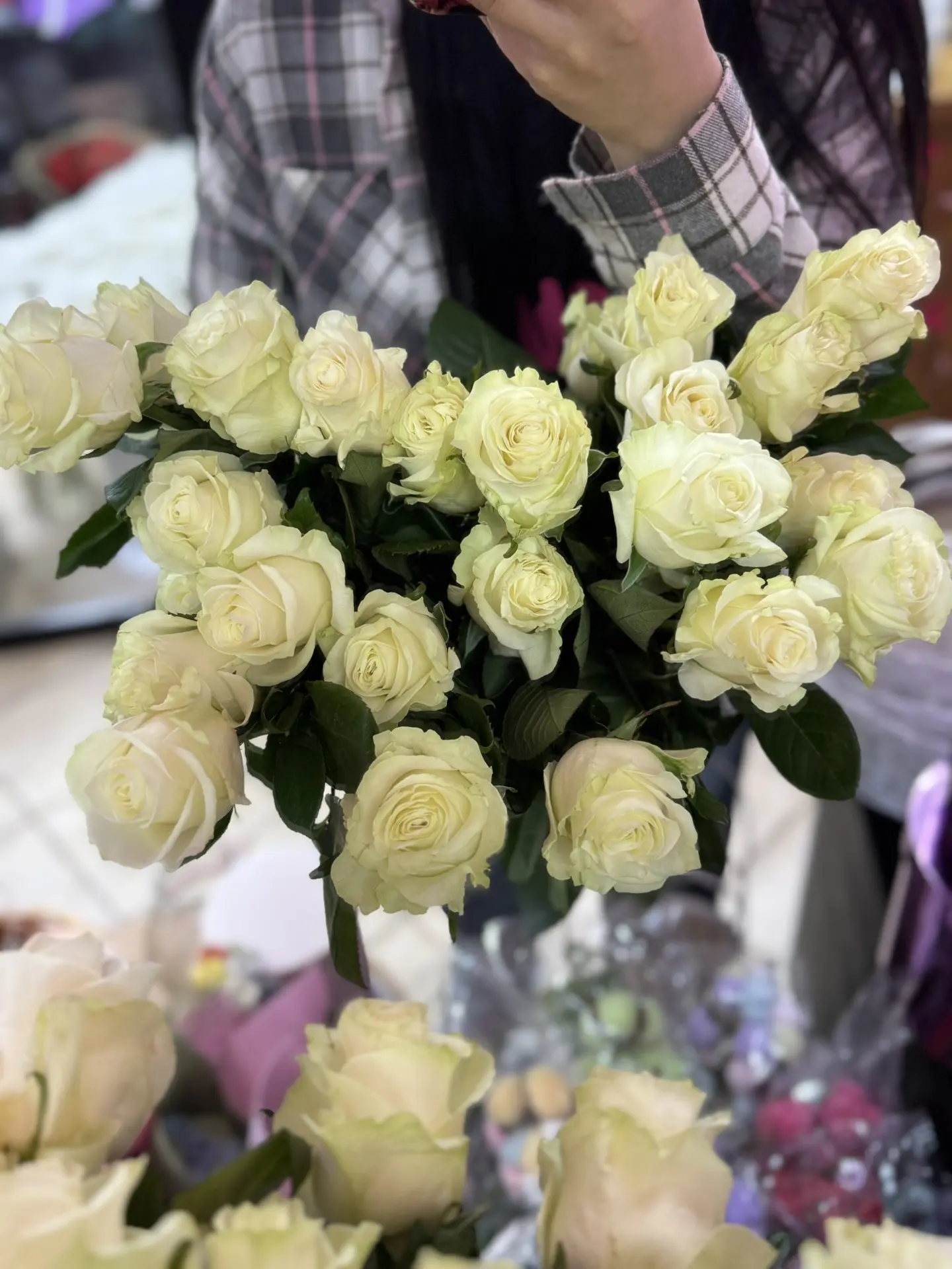 Эквадорские розы 

300₽ шт