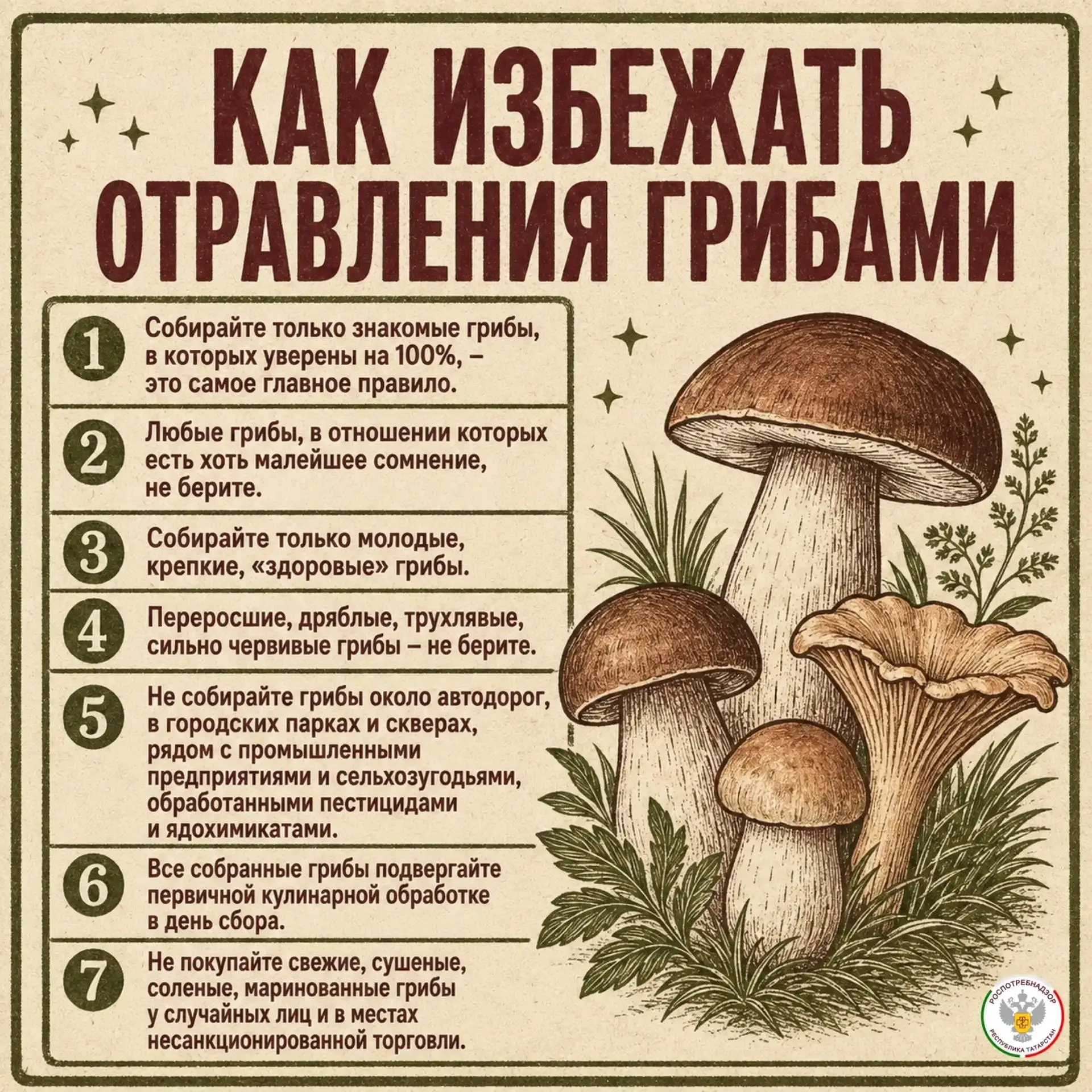 Собираем грибы правильно: профилактика отравлений