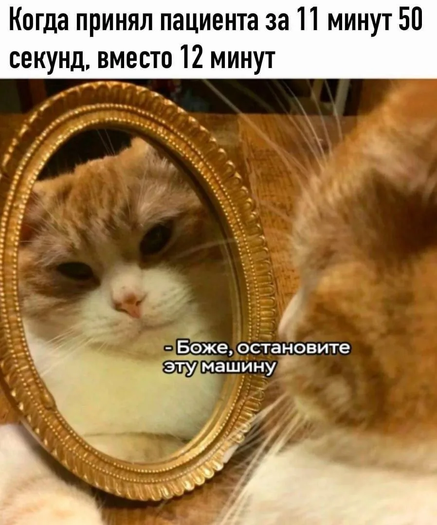 🐱😉