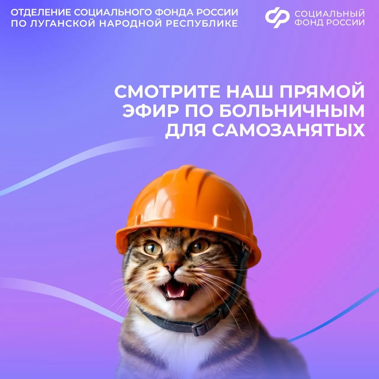 Страхование на случай больничного для самозанятых в ЛНР. Запись эфира