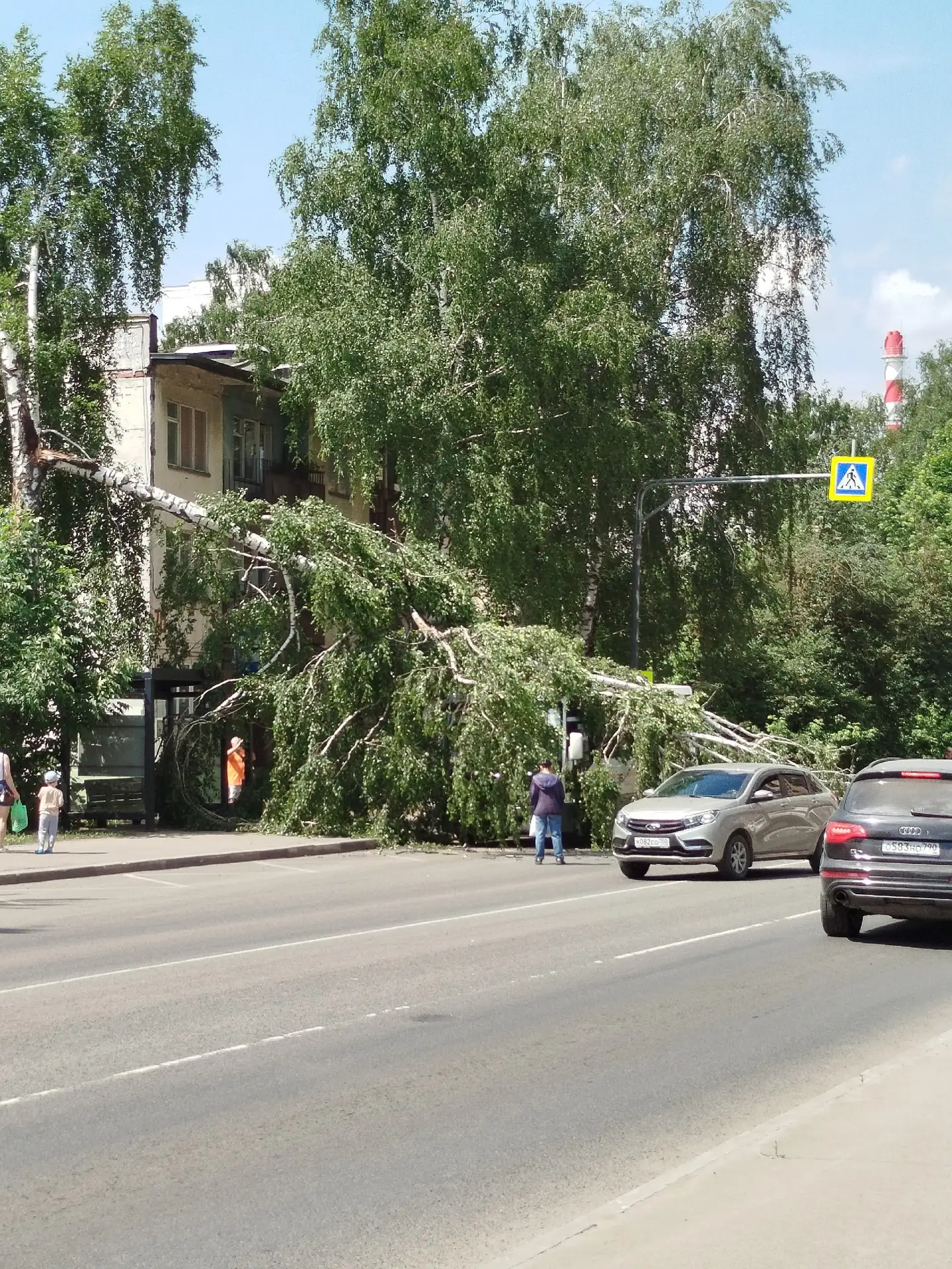 Дальний Воронок автобус подъехал к остановке и в этот момент упала берёза

НЕ ЗАБУДЬ ПОДПИСАТЬСЯ ⤵️