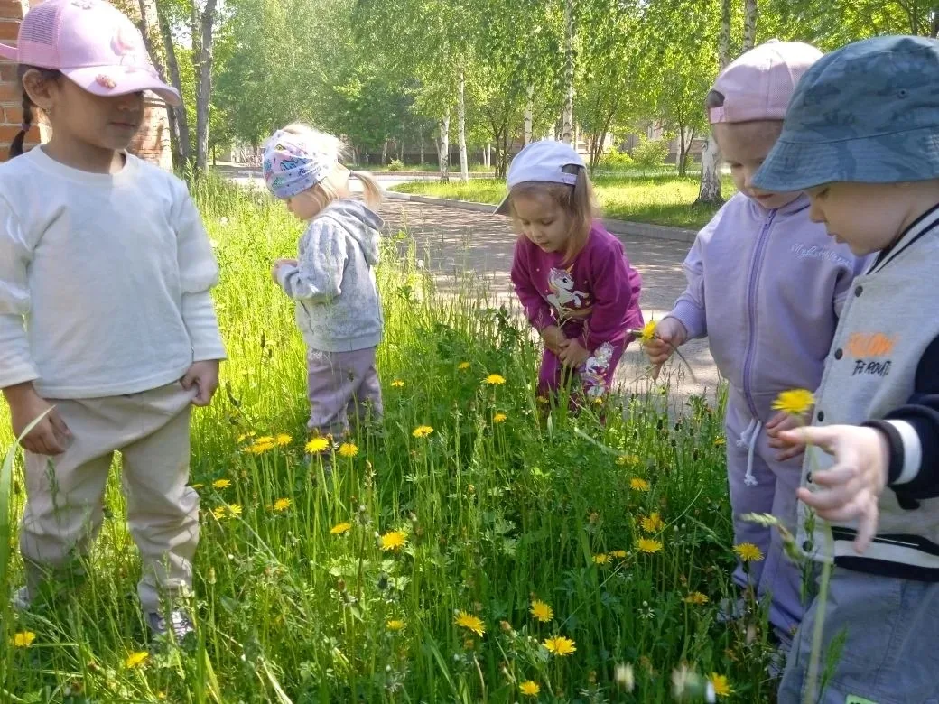 Наблюдение в природе с детьми раннего возраста
Ознакомление детей с природой является одним из важны