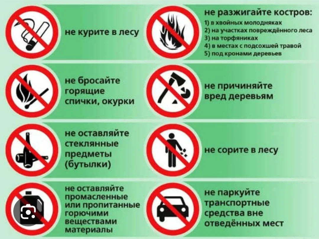 #БезопасностьПоведенияВЛесуИНаПрироде


Безопасность в лесу строится на трех китах: подготовке, бдит