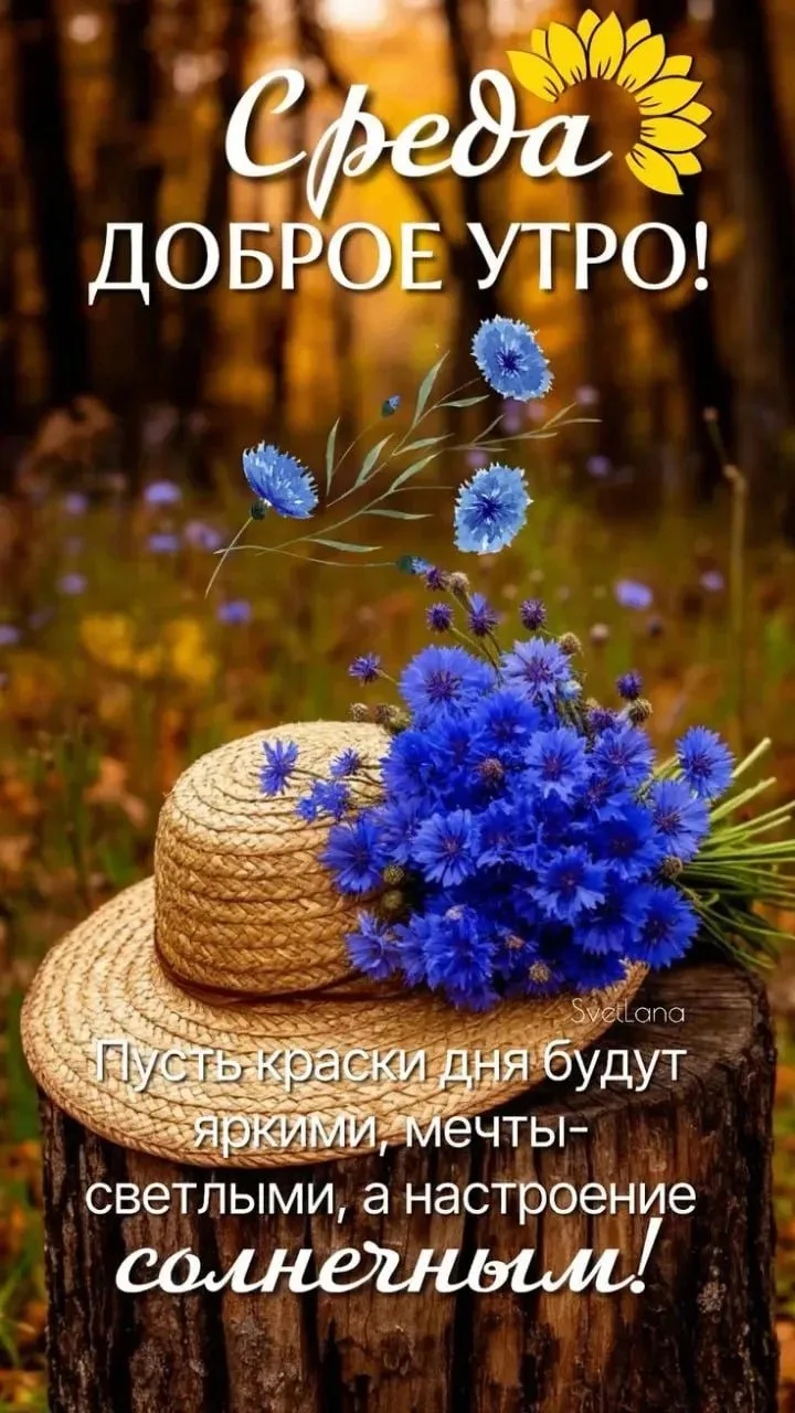 #обои #обои_для_девушек