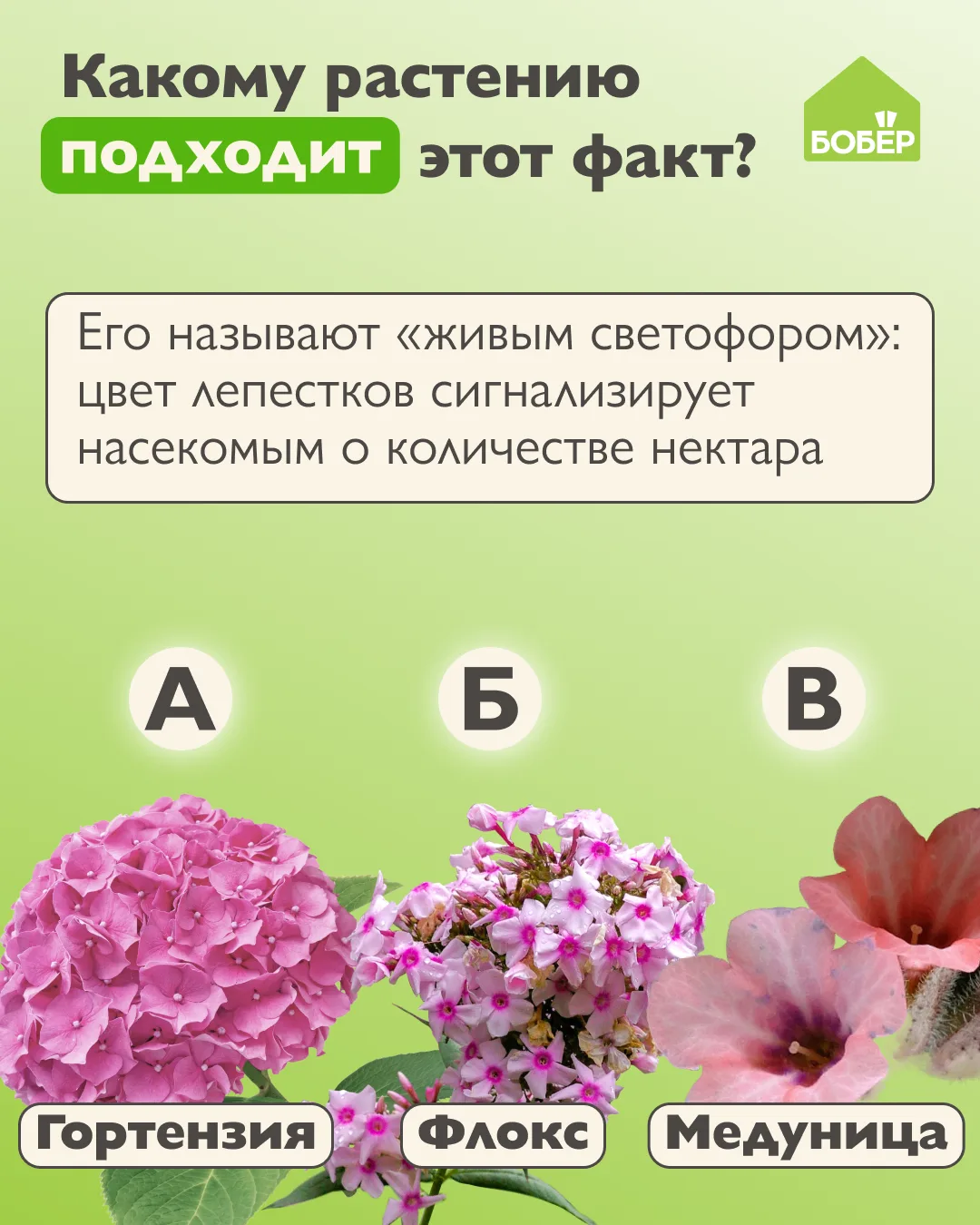 Проверьте свои знания в садоводстве 🌱

Ждём ответы в комментариях 😊