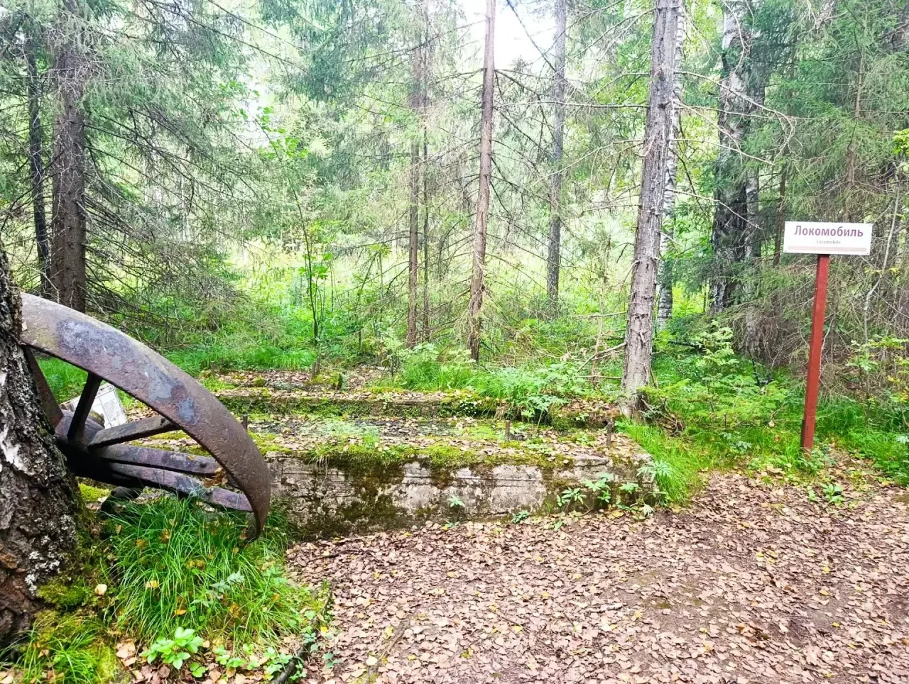 #На_природе