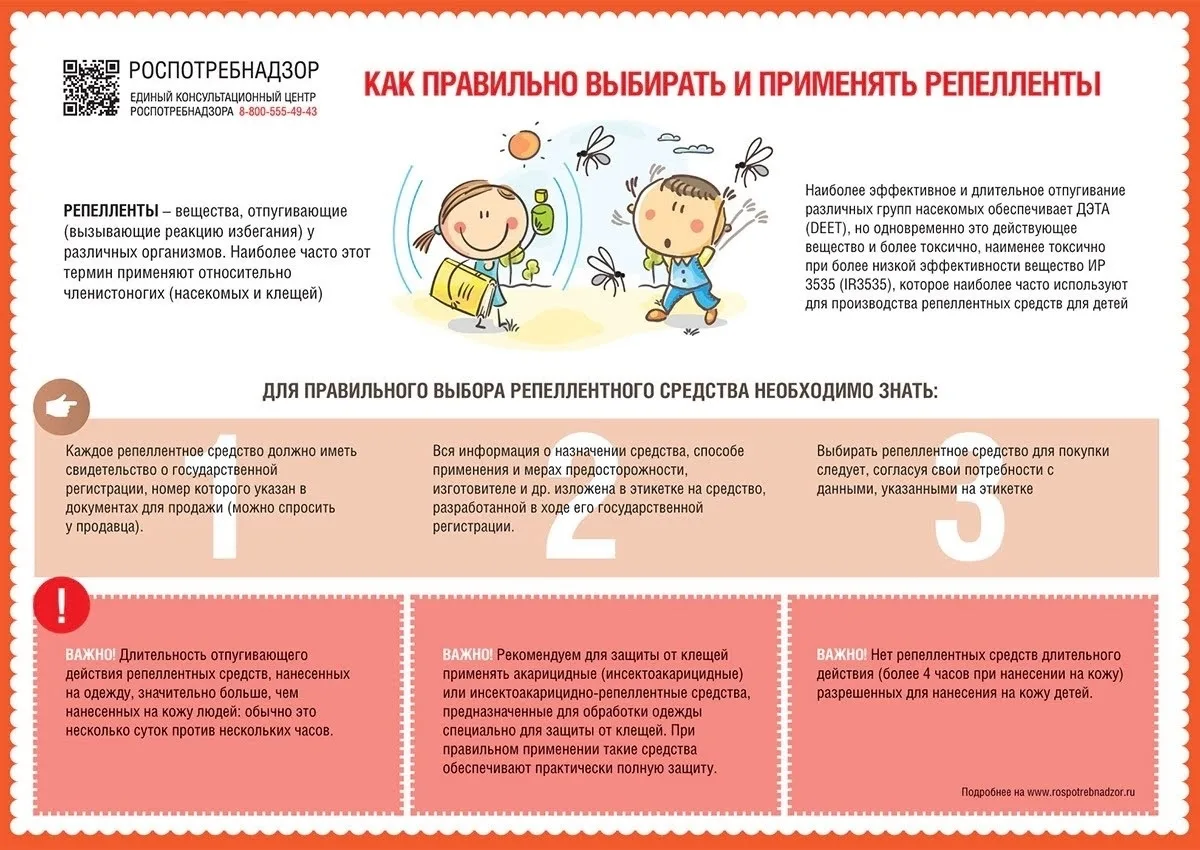 🕷Средства от клещей – какими они бывают? 
 
#Роспотребнадзор_разъясняет️ 
 
Для защиты от нападения