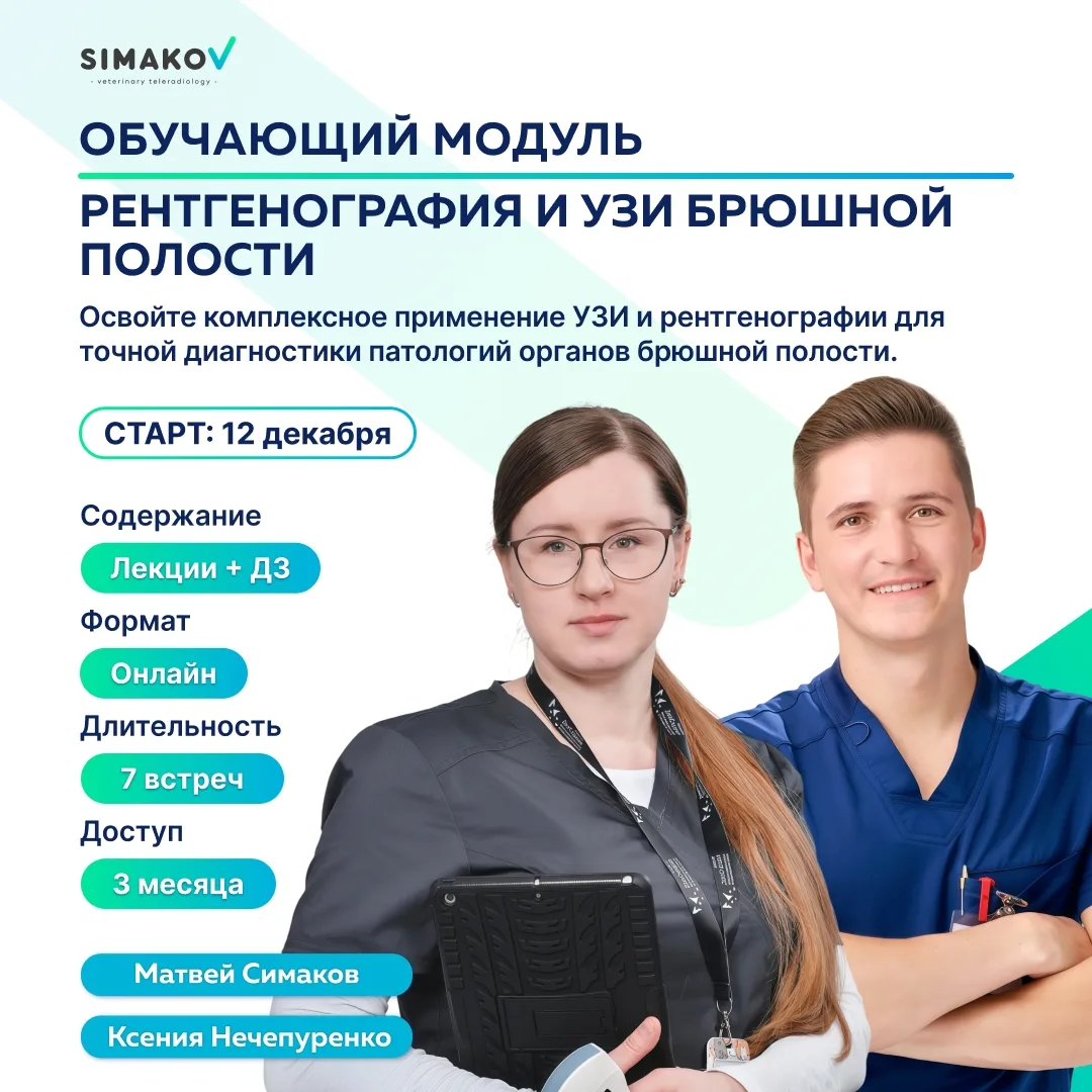 Брюшную полость за одно занятие не разберёшь ❌