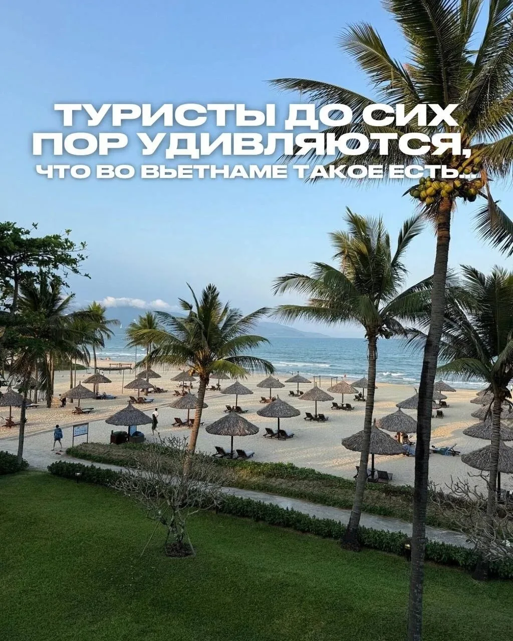 🇻🇳 ТУРИСТЫ ДО СИХ ПОР УДИВЛЯЮТСЯ, ЧТО ВО ВЬЕТНАМЕ ЕСТЬ ТАКИЕ ОТЕЛИ...

Многие по привычке считают,