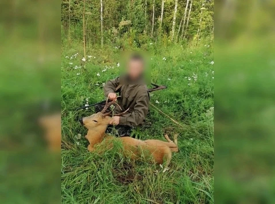 120 тысяч рублей ущерба: шадринский пенсионер подозревается в отстреле двух косуль