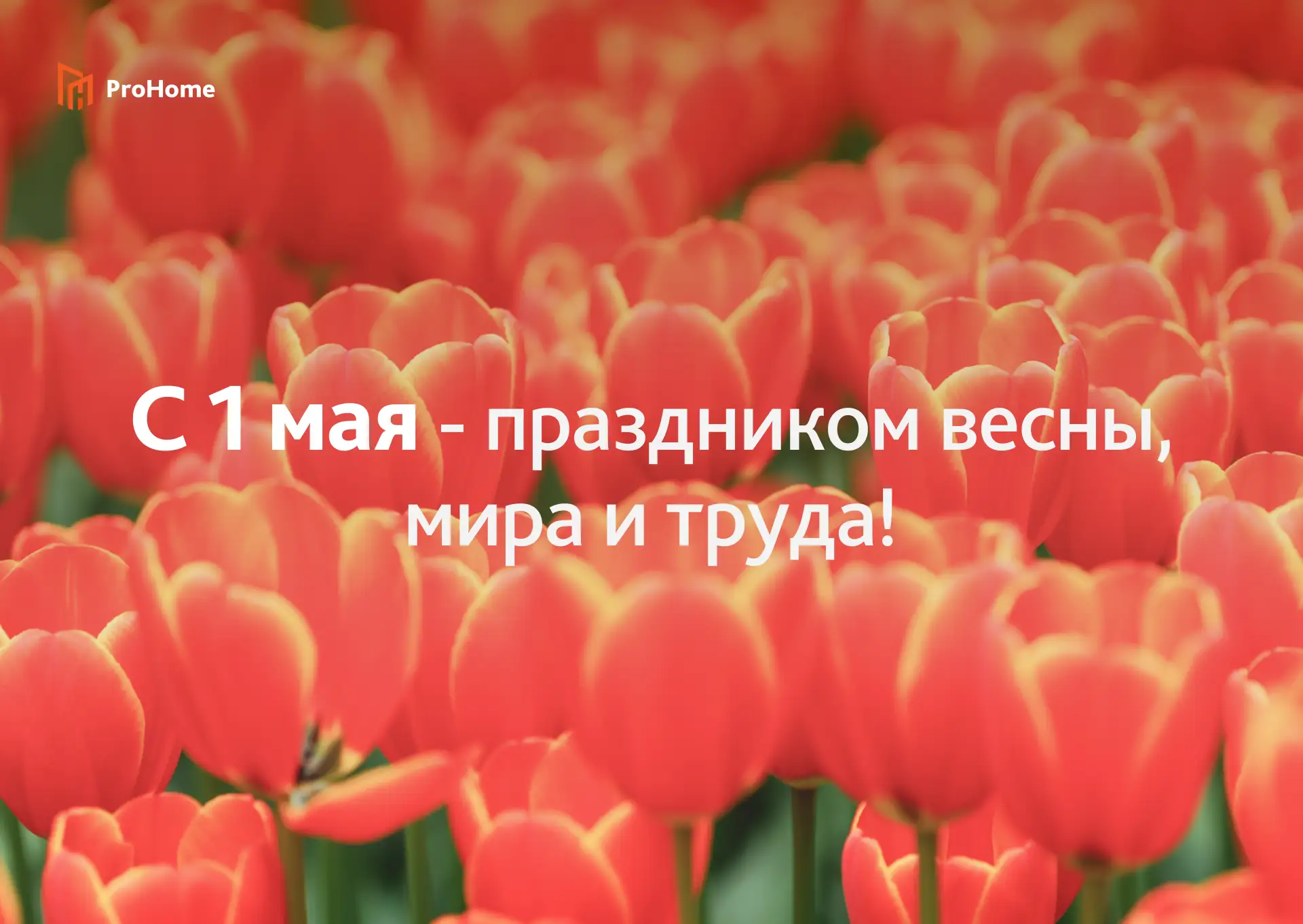 С праздником 1-го мая, дорогие жители 🌸