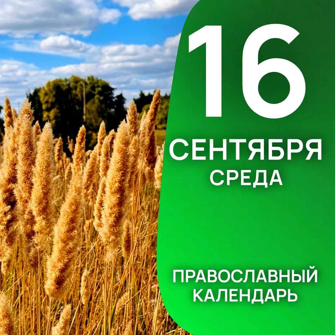Календарь дня