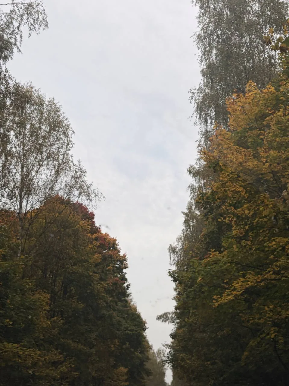 🍁Доброе утро, Серпухов!