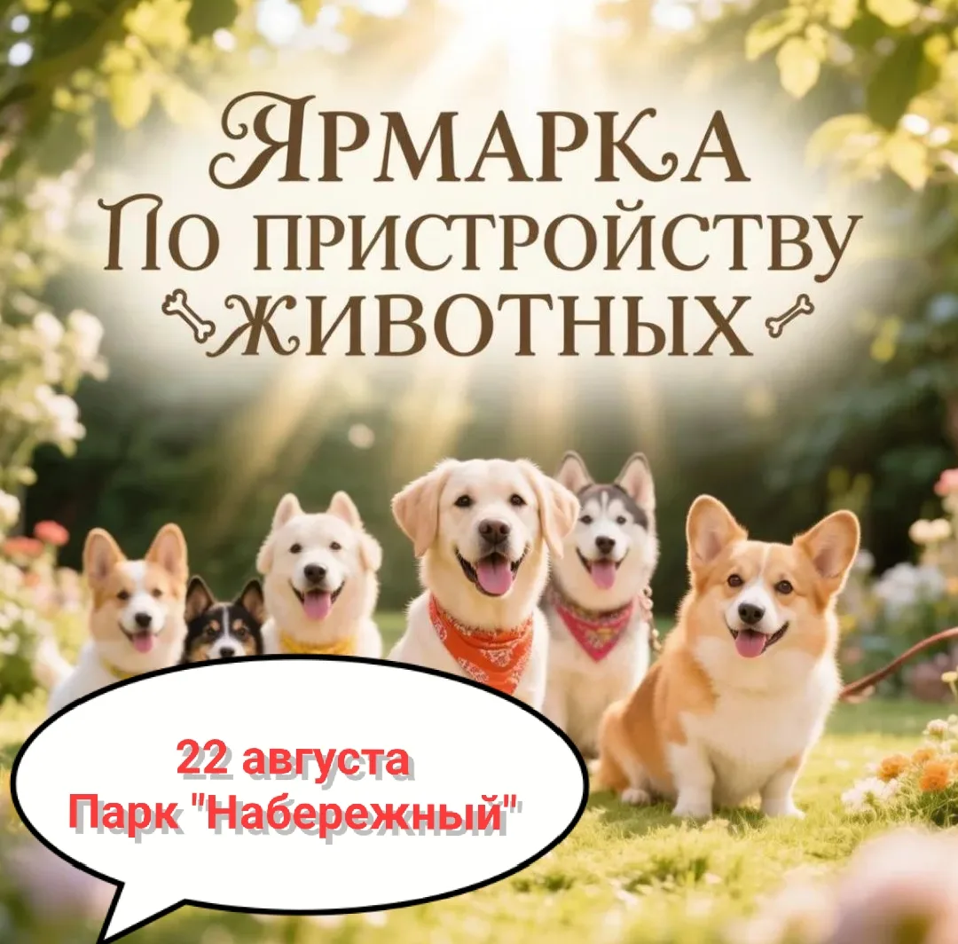🔴22 августа в 18:00 Городской парк «Набережный» в Кирове станет местом, где рождаются ...