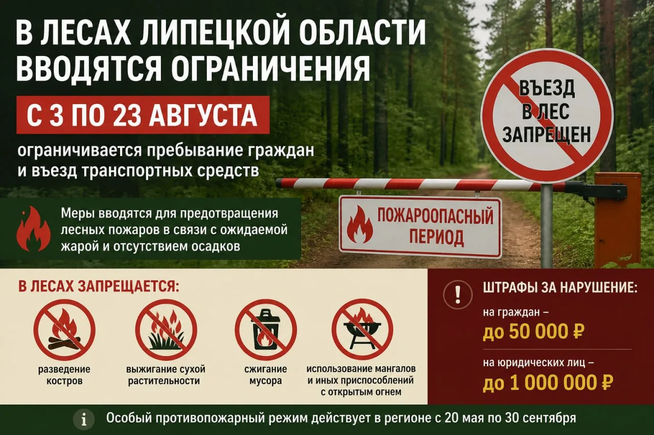 🌲 В леса Липецкой области почти на три недели закроют свободный доступ.

С 3 по 23 августа в регион