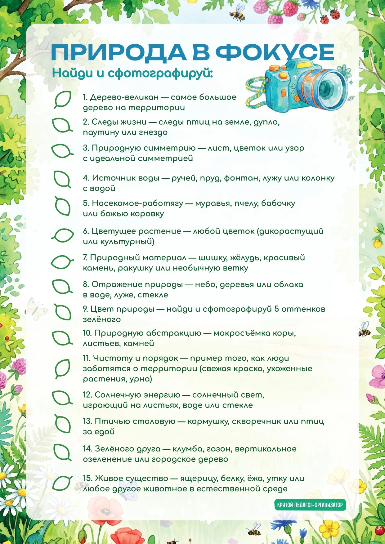 Дорогие друзья!