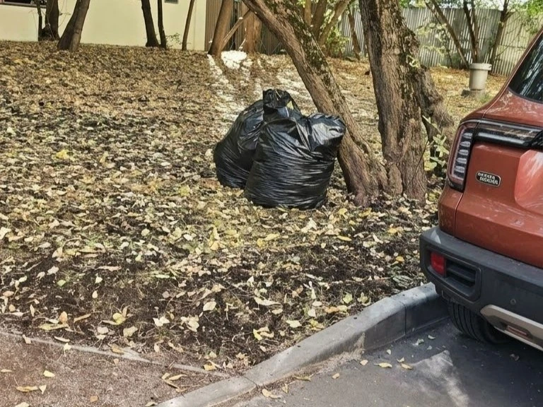 🗑️ На газоне у дома на Авиационном переулке оставили мусорные мешки