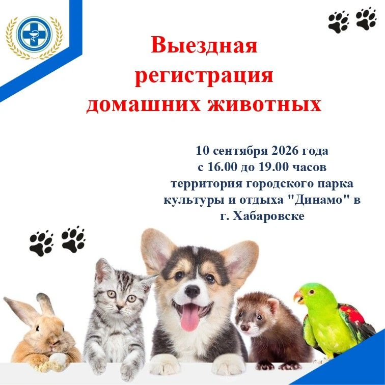 🐱Выездная регистрация домашних животных🐶