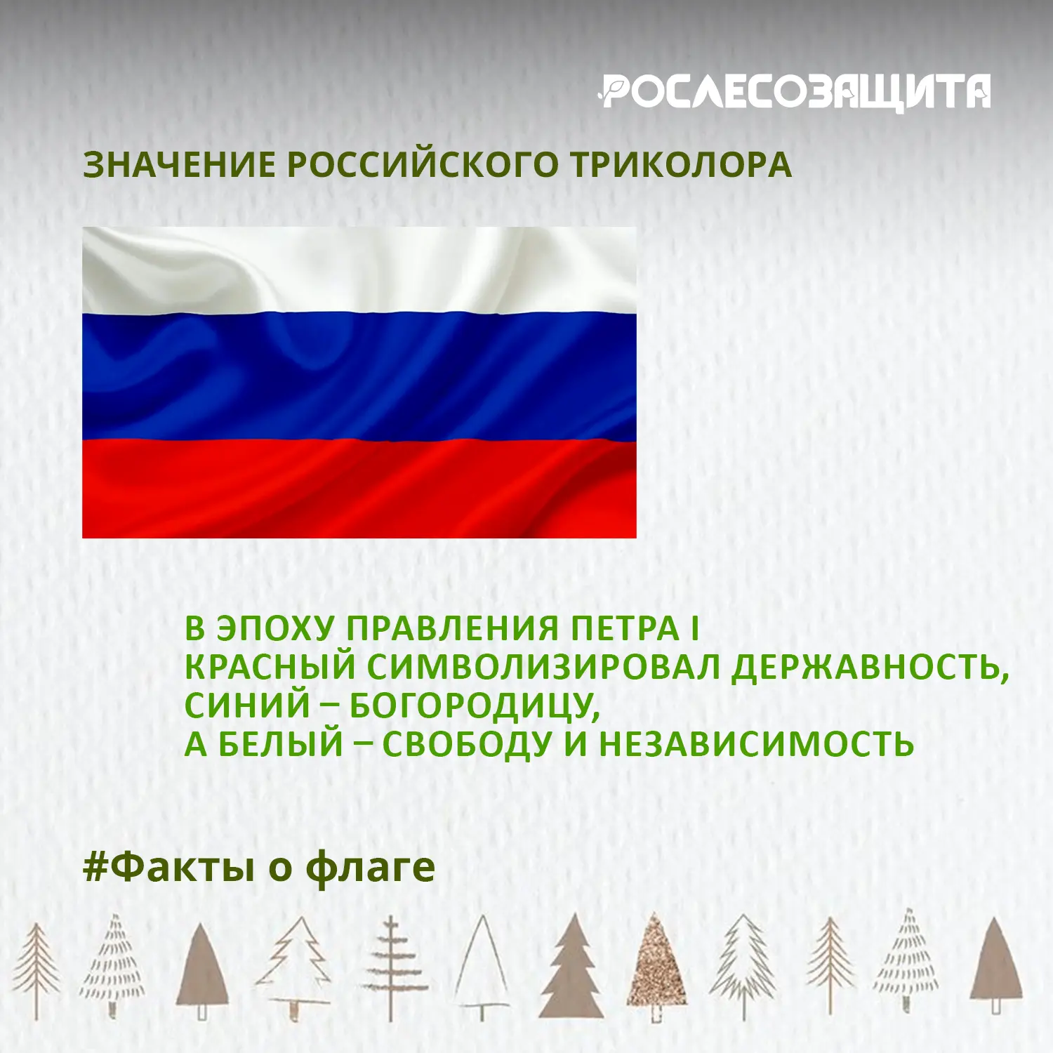 ✅ А мы продолжаем нашу интерактивную рубрику «Выходные с Рослесозащитой».