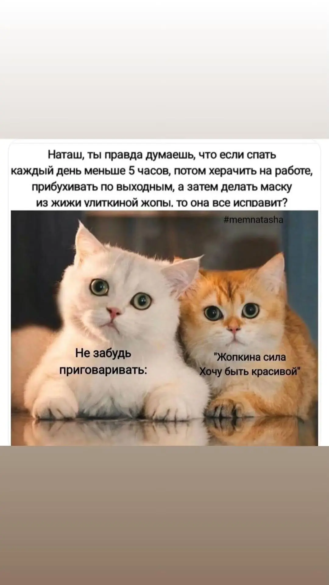 Вечерний кардиопривет, мои любимые котики♥️