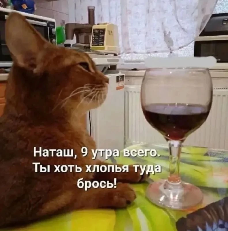 Когда повезло с Наташей 🤣