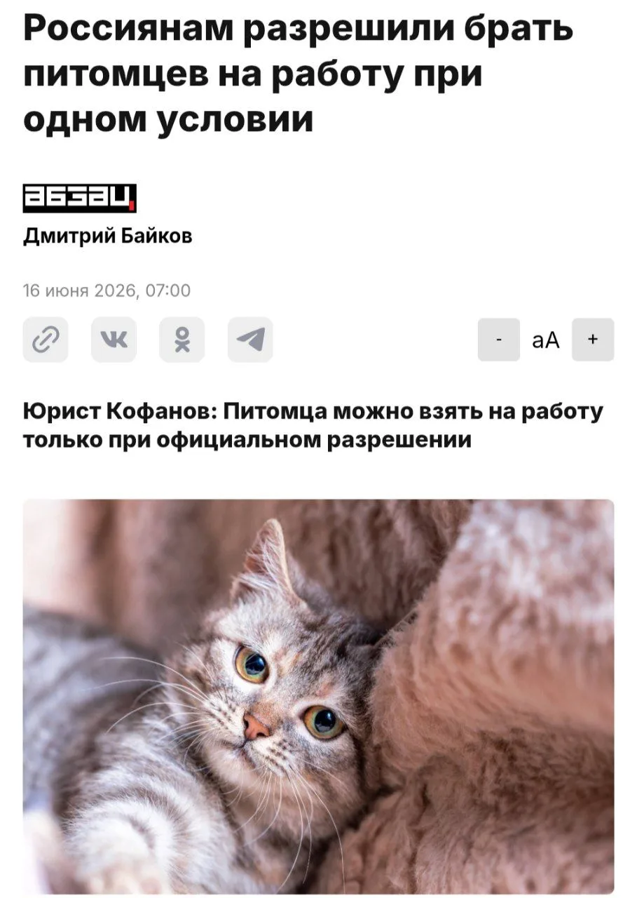 Россияне могут брать питомцев с собой на работу  — теперь официально. По словам юристов...