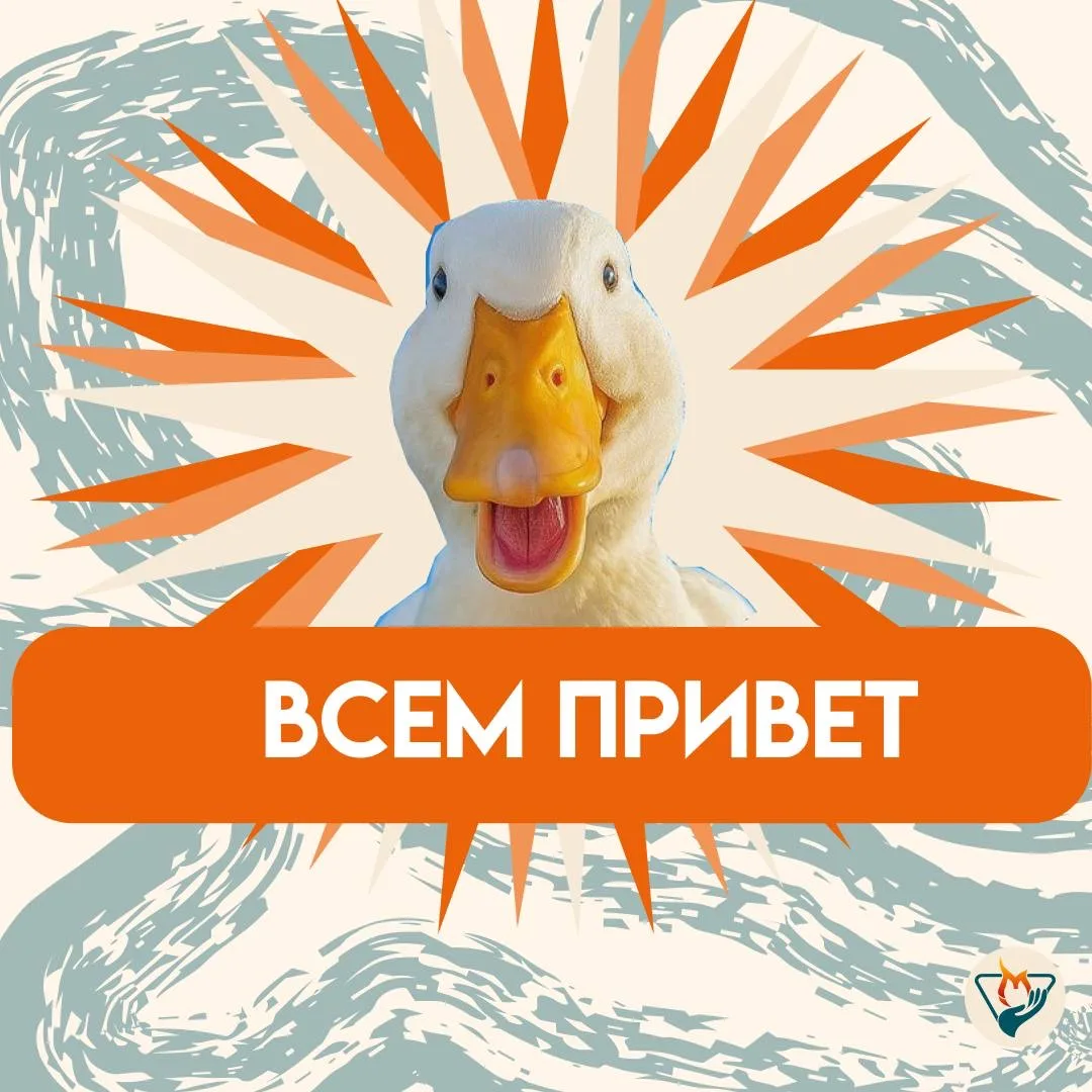 Добрых уток, друзья! 🦆