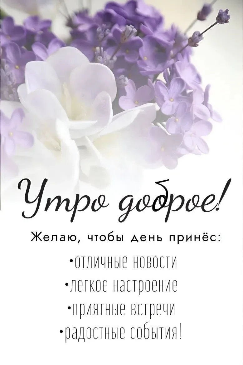 Доброе утро, дорогие друзья!Пусть этот день начнётся с лёгкой улыбки и приятного предвк...
