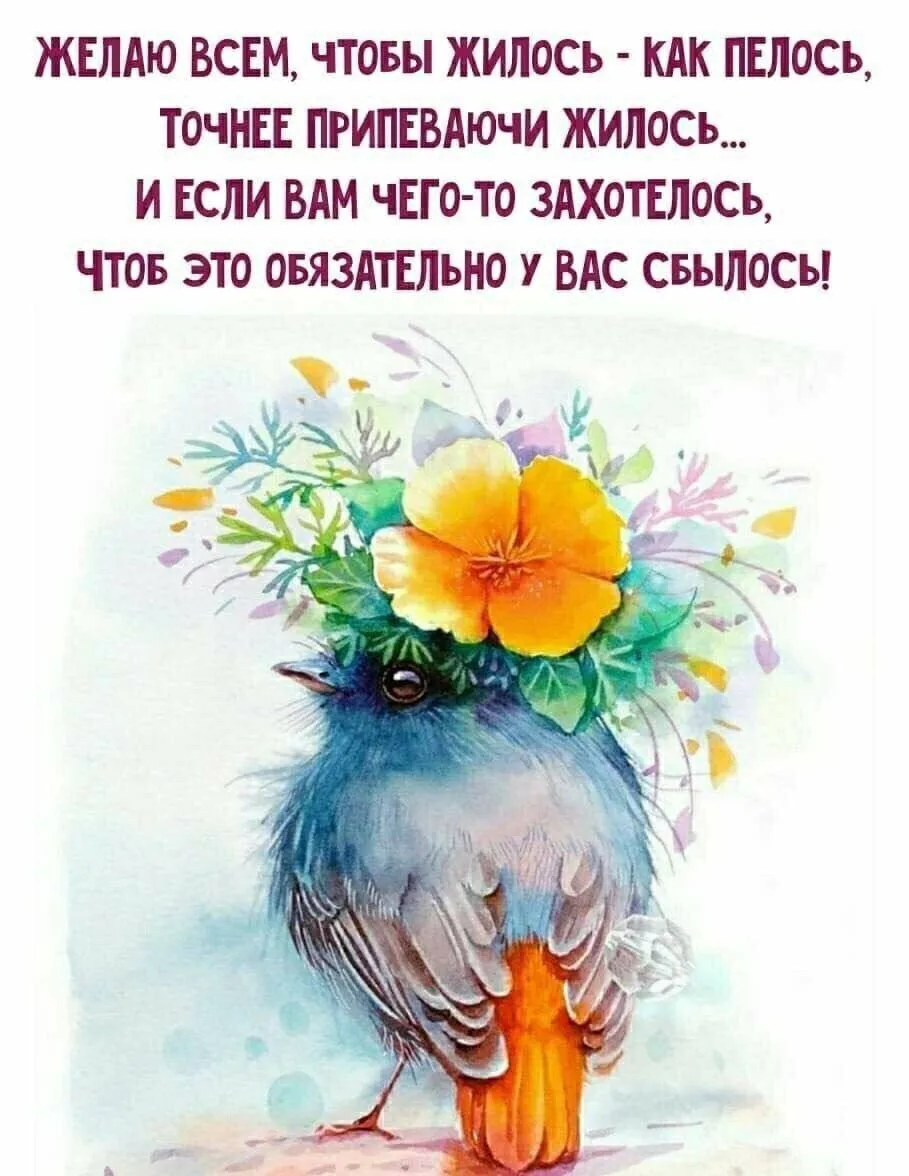 Открытки