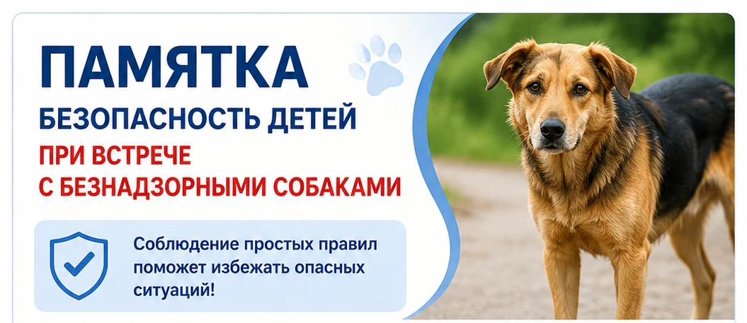 🐕 ПАМЯТКА