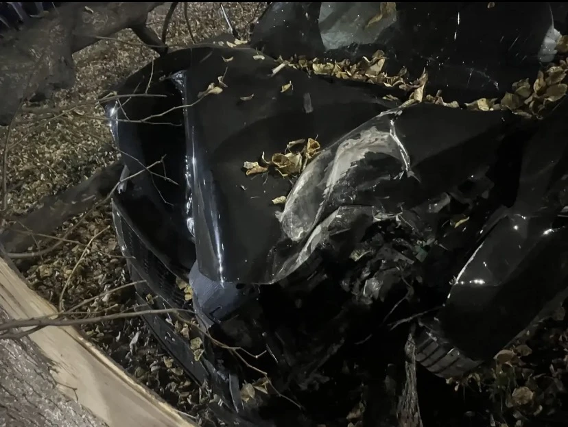 ❗В Челнах иномарка совершила наезд на дерево, есть пострадавшая