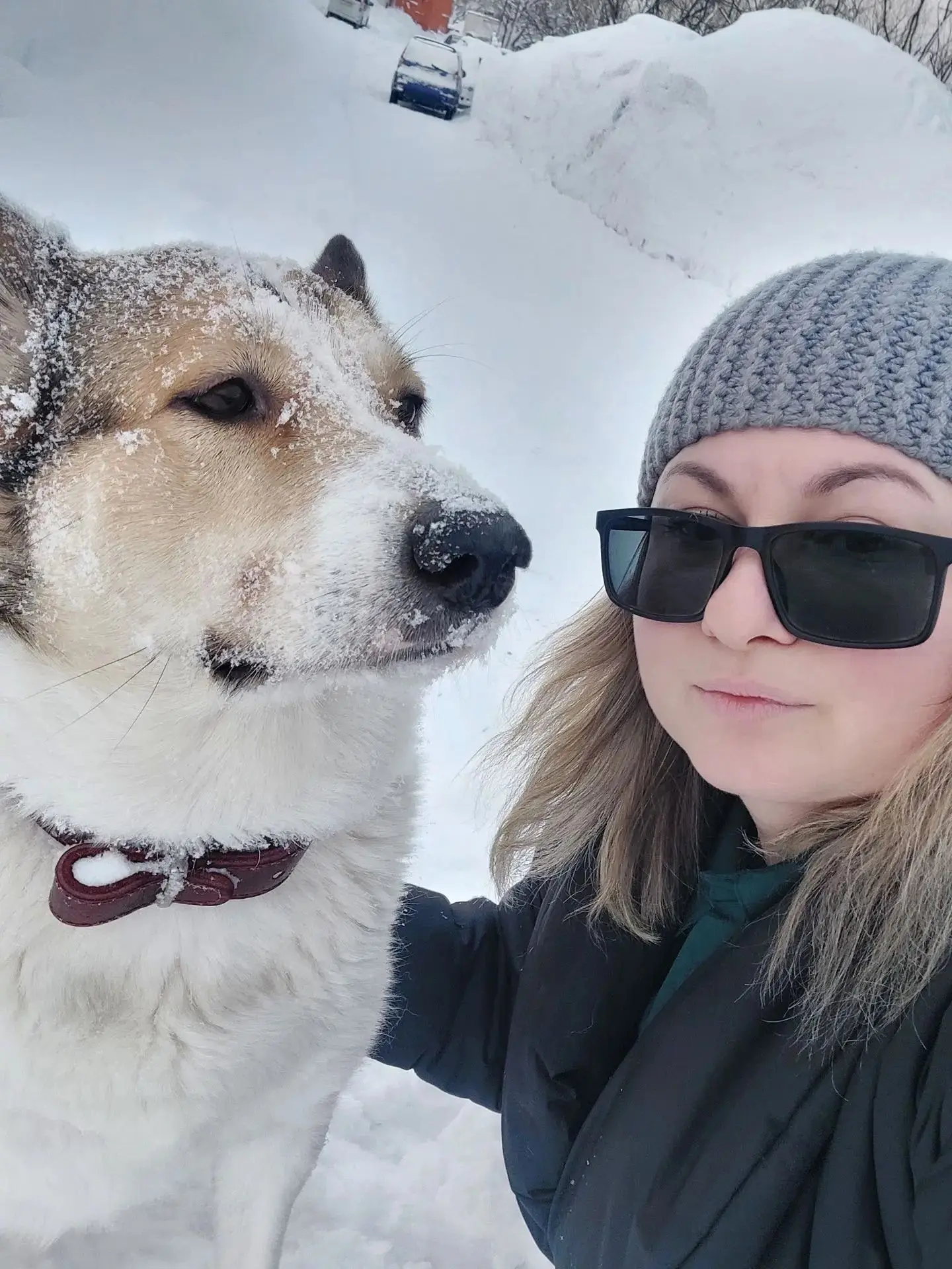 26 августа отмечается добрый праздник — День благодарности собаке или День признательно...