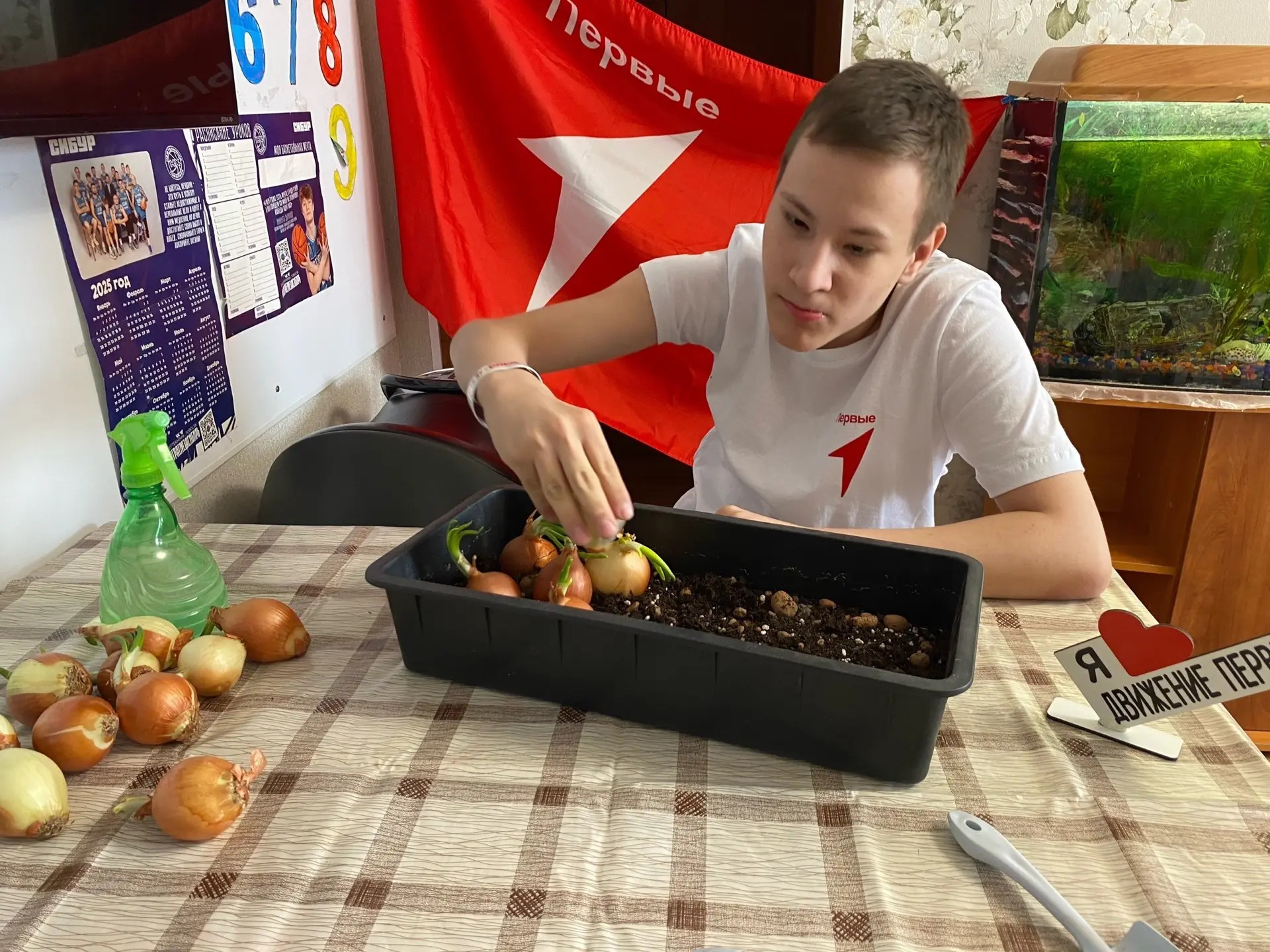 ЮННАТЫ ПЕРВЫХ | ГРЯДКА НА ОКОШКЕ