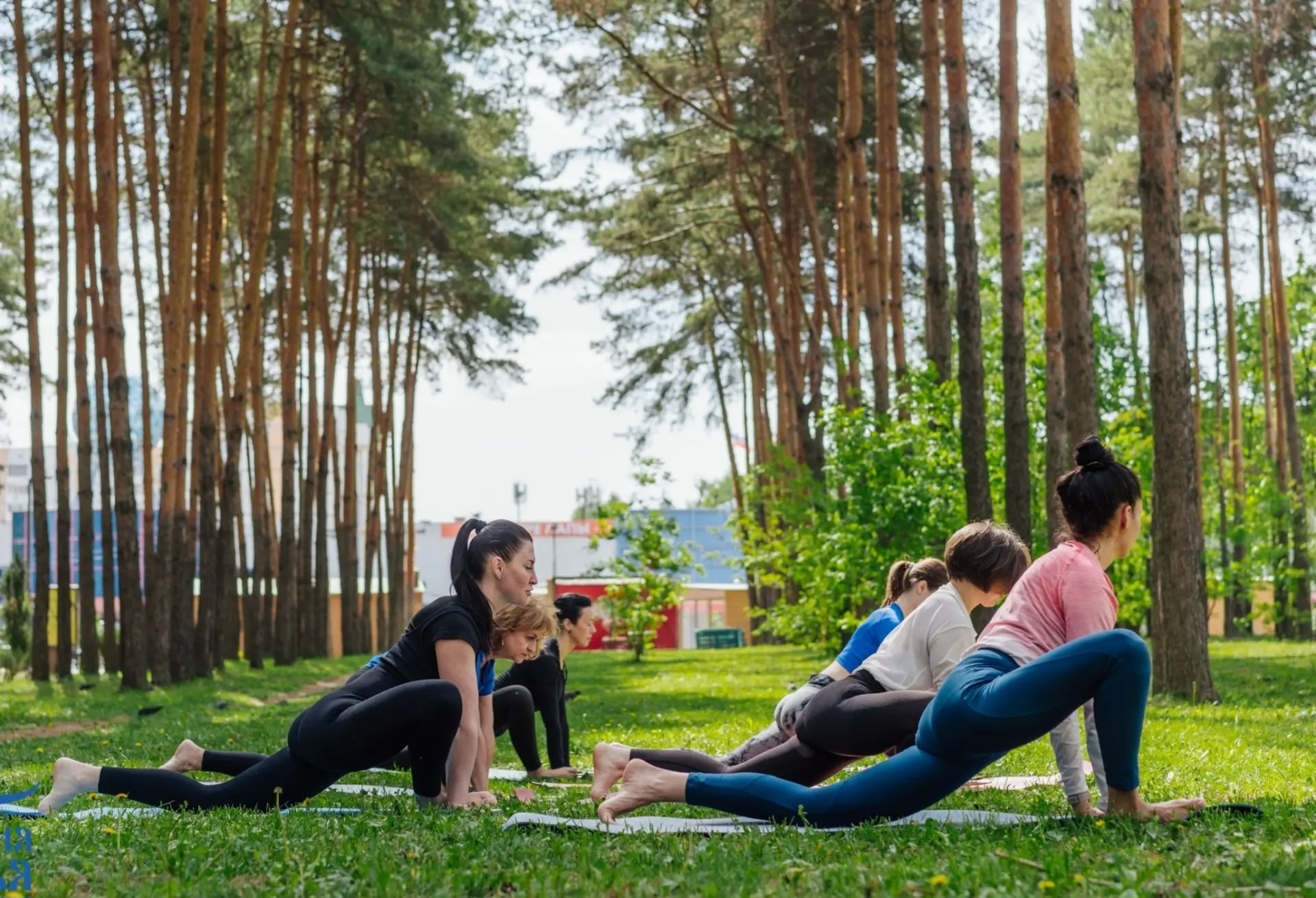 День йоги в Парке Победы

📍 20 июня, 6:30, парк Победы 

 Что вас ждёт:

Утренняя практика «Сурья Н