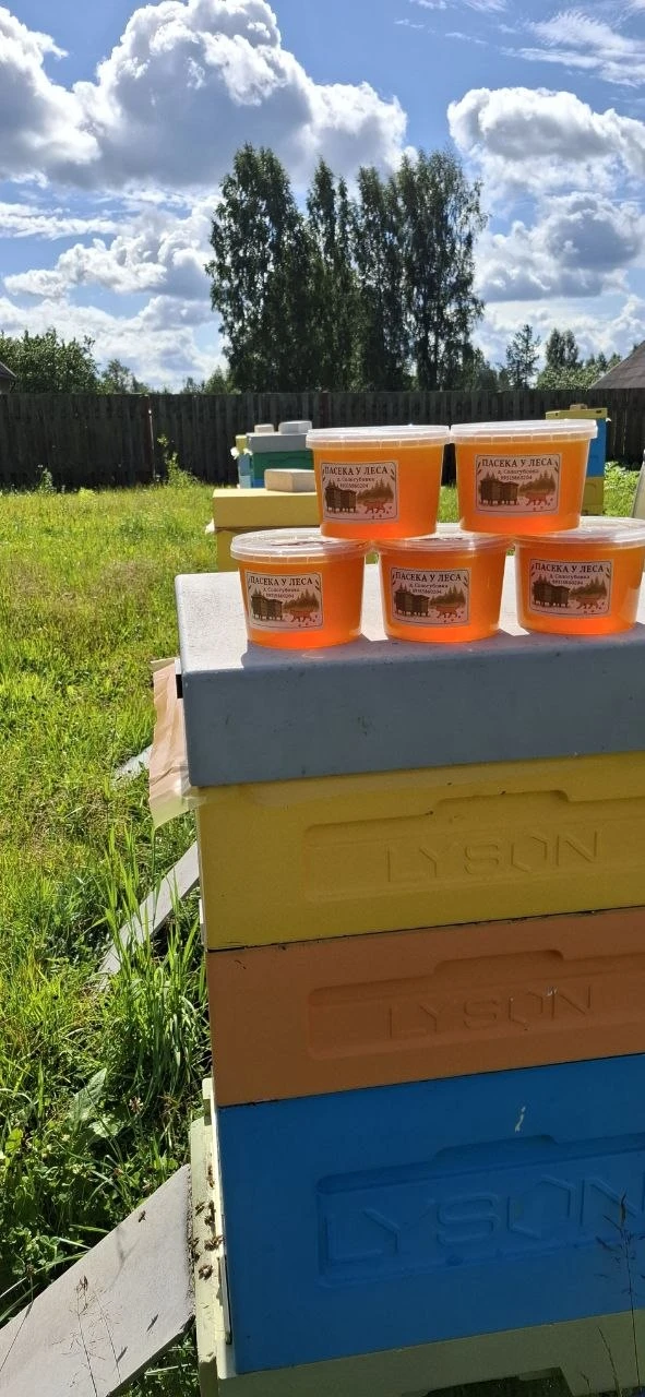 Кто в этом году не успел попробовать наш мёд 🍯 — ещё осталось немного.