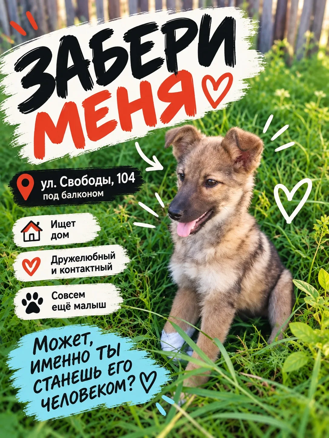 🐶 КАРПИНСК, НУЖНА ПОМОЩЬ!