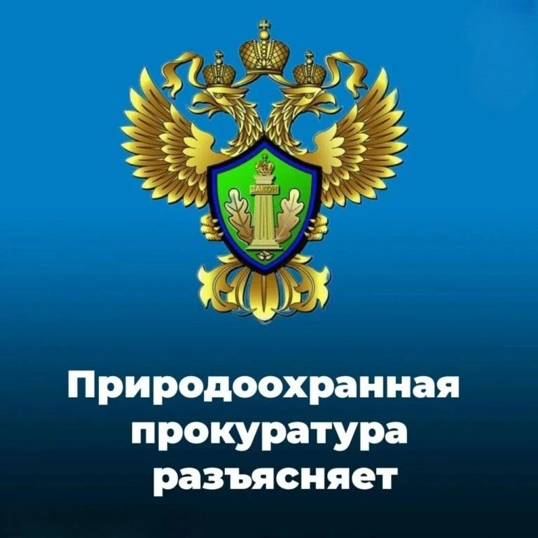 Саратовская межрайонная природоохранная прокуратура разъясняет изменения, внесенные в природоохранно