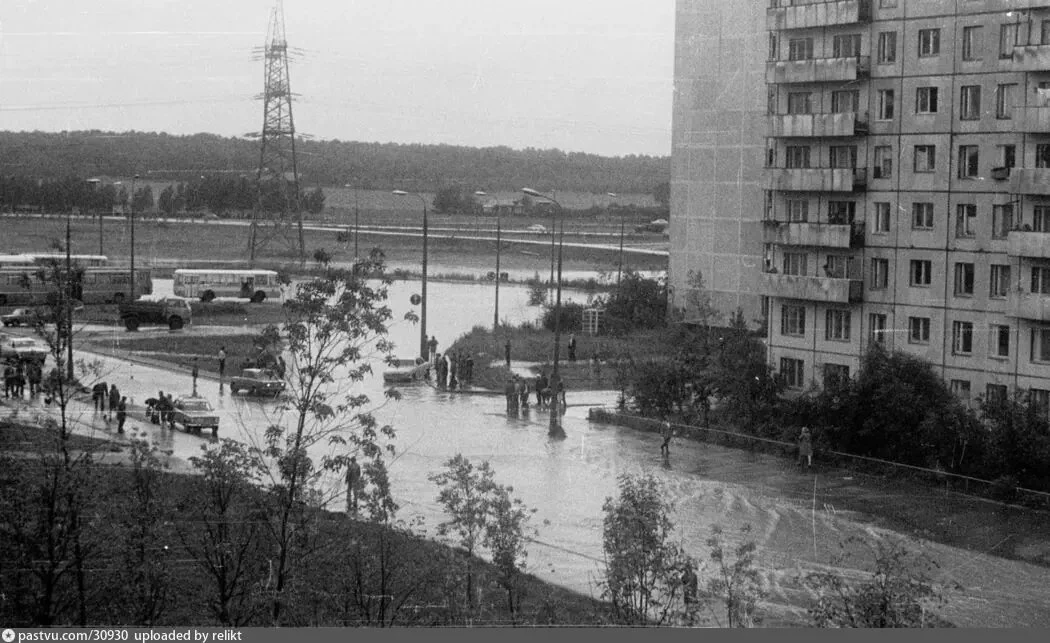 Гольяново. Потоп 1981–1983