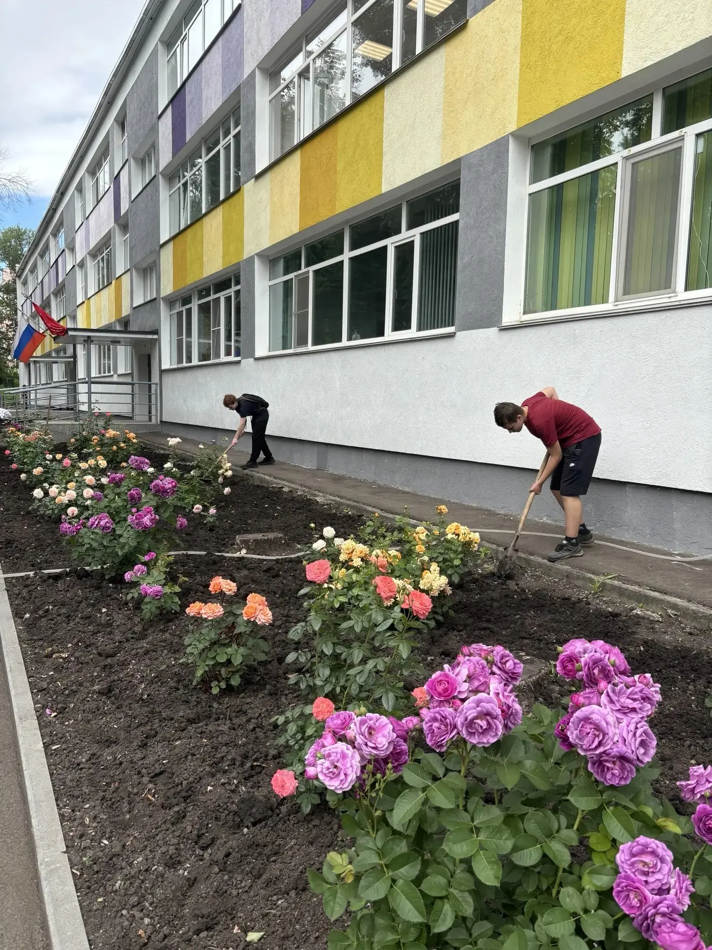 В школе №51 города Пензы расцвела Аллея Победы, заложенная 7 мая 2025 года в канун юбил...