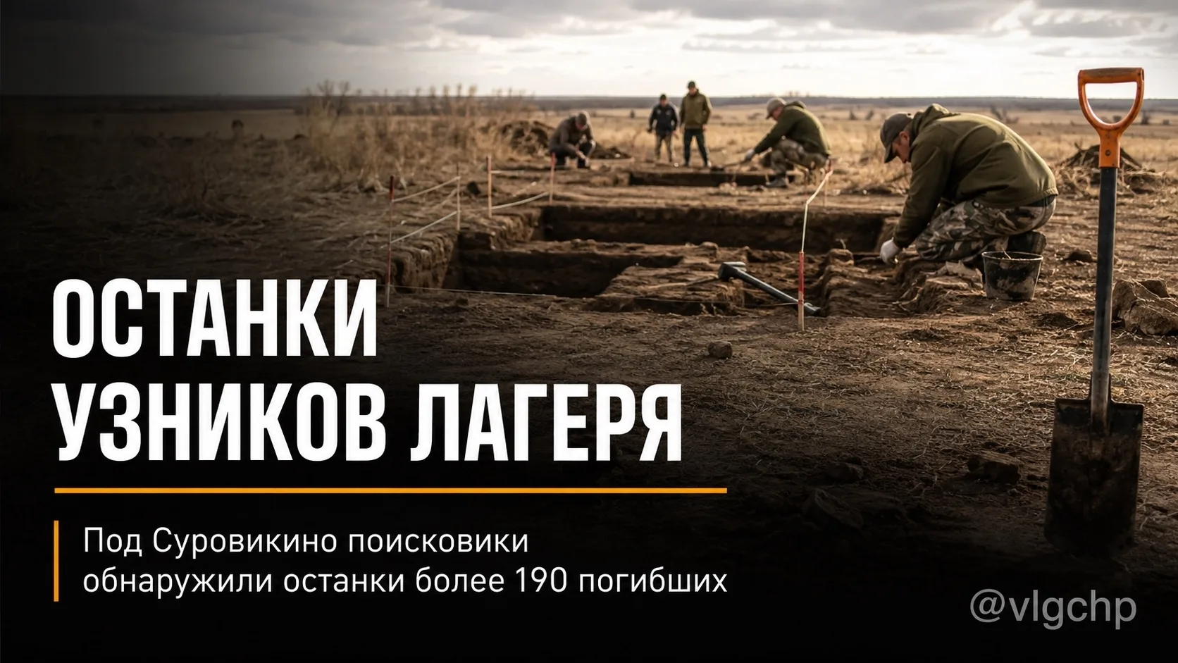 Более 190 останков погибших обнаружили поисковики на месте бывшего лагеря для военнопленных в Сурови