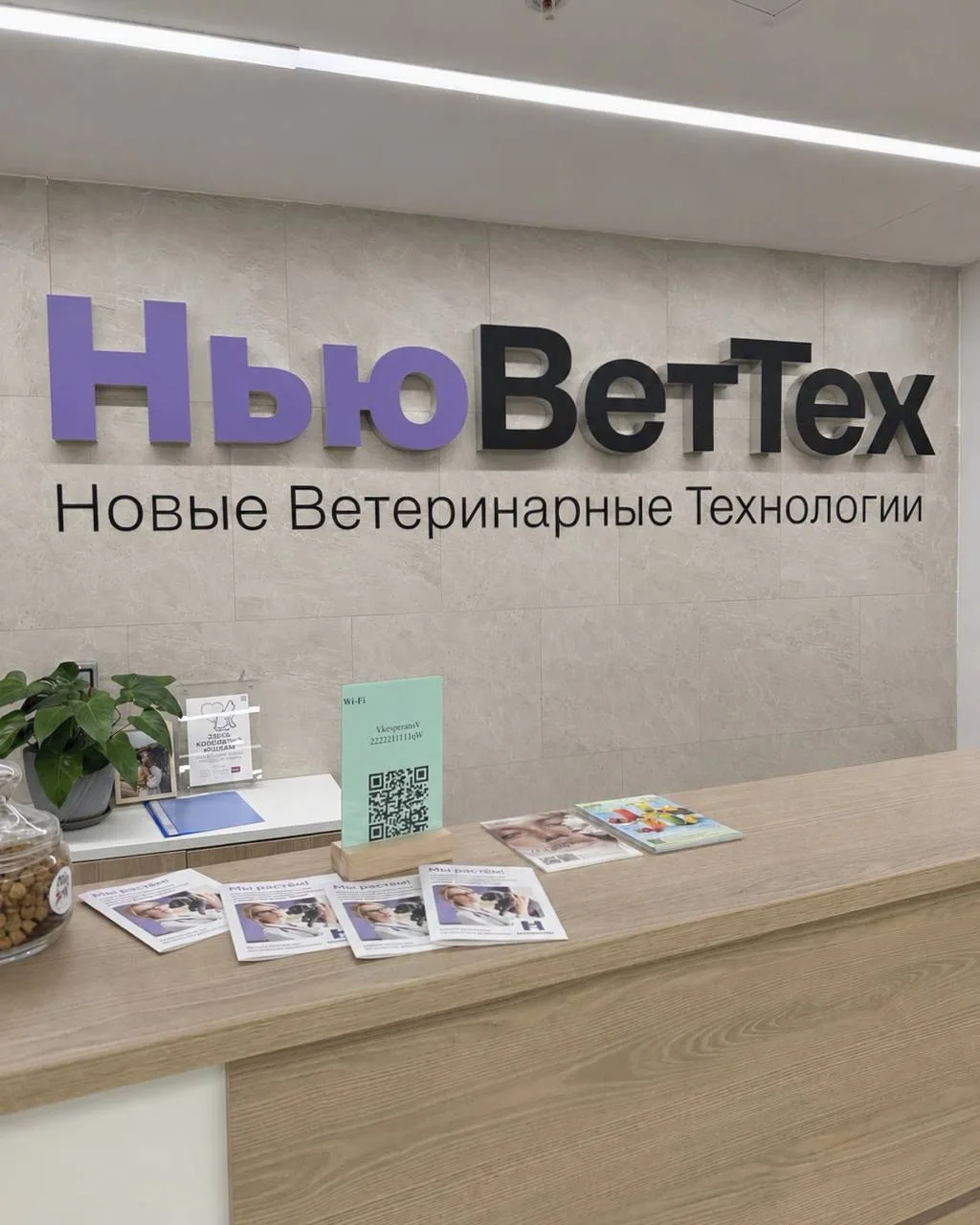 Мы в ответе за тех, кого приручили. Поэтому о своих хвостиках тоже нужно заботиться пре...