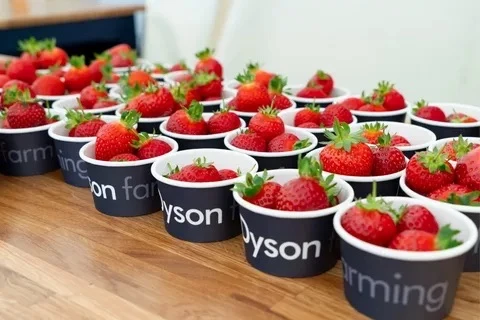 🍓 В эту пятницу представляем вам интересный факт про Dyson  😉