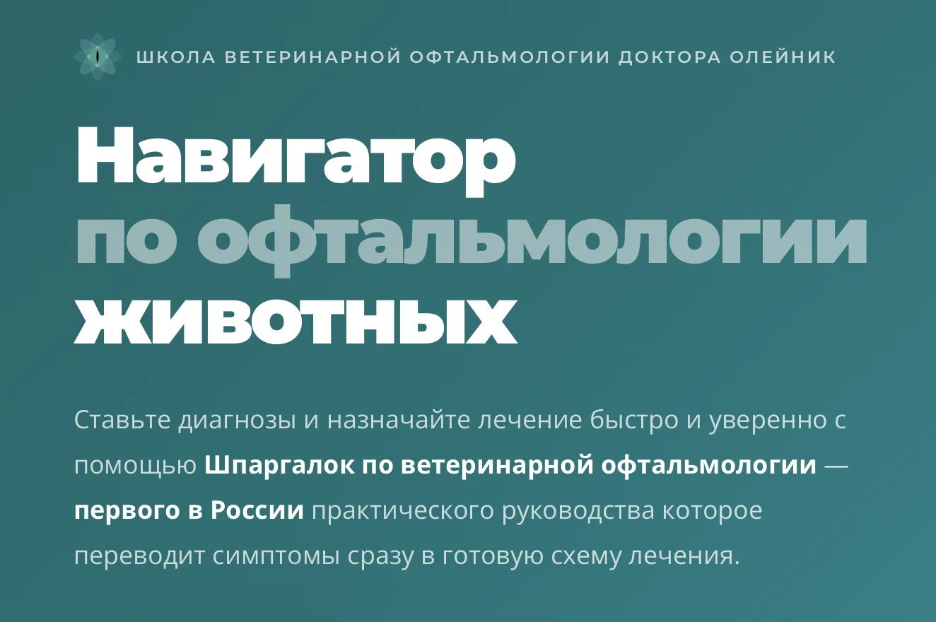 Друзья, открываю продажи «Навигатора по ветеринарной офтальмологии» в этом канале.

Это комплексный 