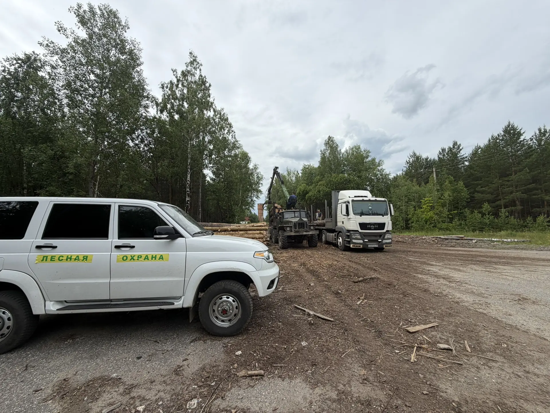🌲 Лесная охрана Ковылкинского лесничества: на страже порядка в лесу! 🌲