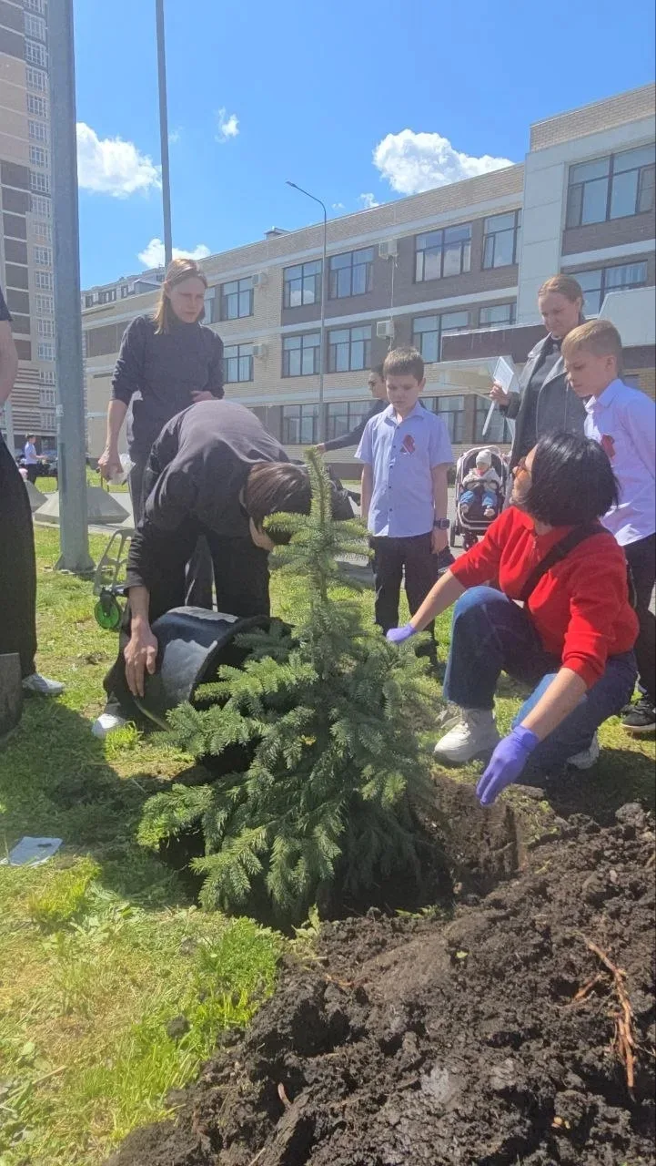 🌲В нашей школе расцвело тёплое зелёное чудо🌲  2 «А» класс вместе с родителями и классным руководител