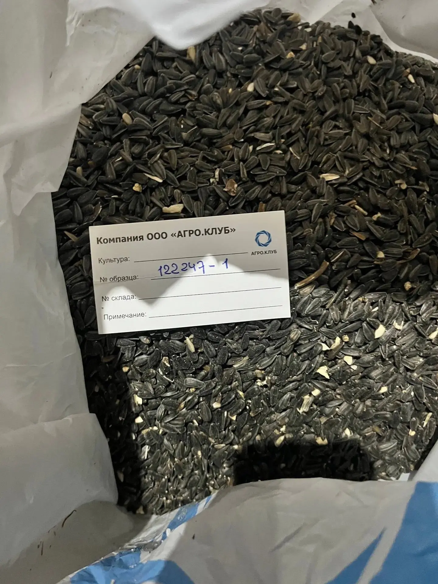 🌻🌻Герой сегодняшней публикации — подсолнечник, который наш специалист отбирает на одн...